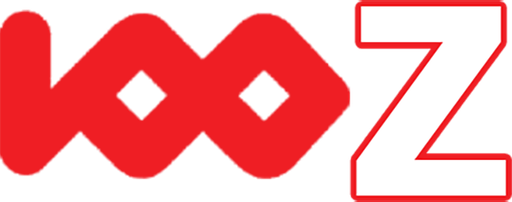 in100z.com Logo